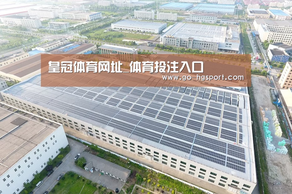 案例展示一
