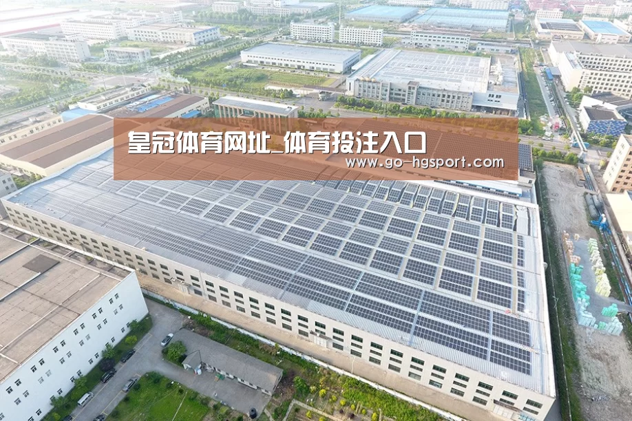 案例展示二
