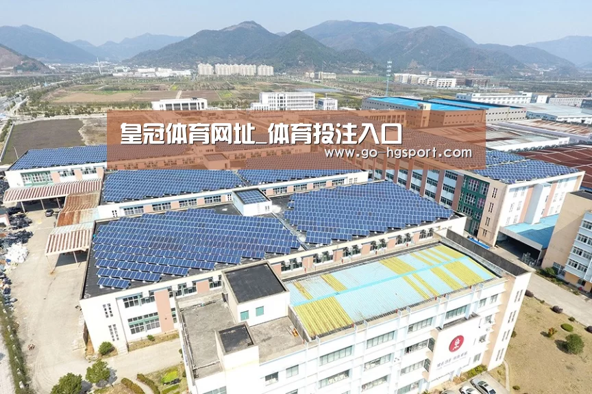 案例展示二