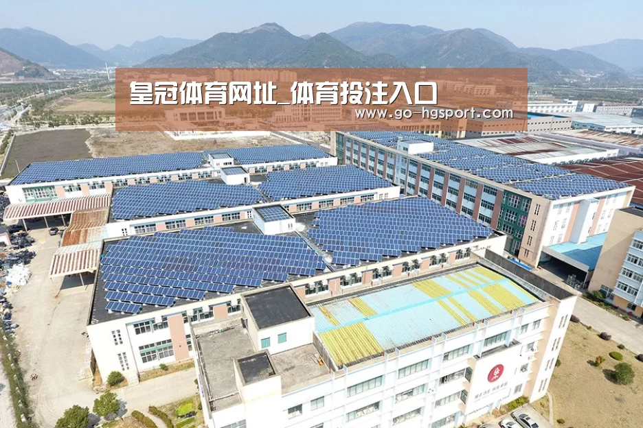案例展示一