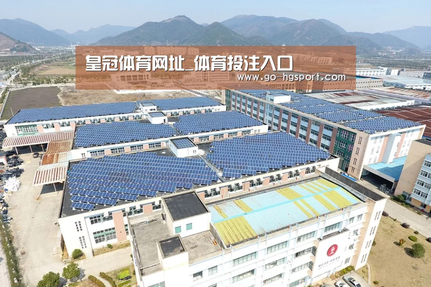 案例展示四