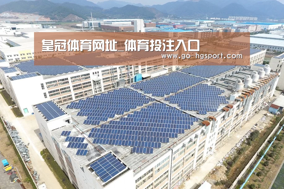 案例展示三