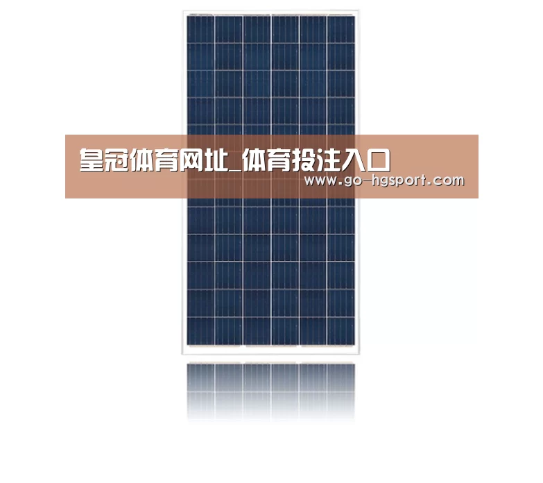 产品名称四