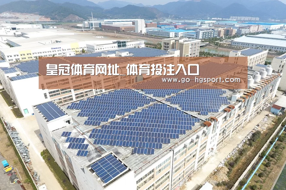 案例展示二
