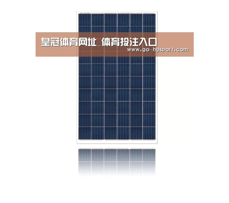产品名称一
