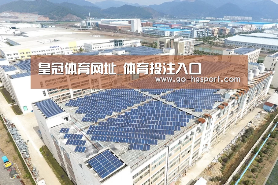 案例展示四