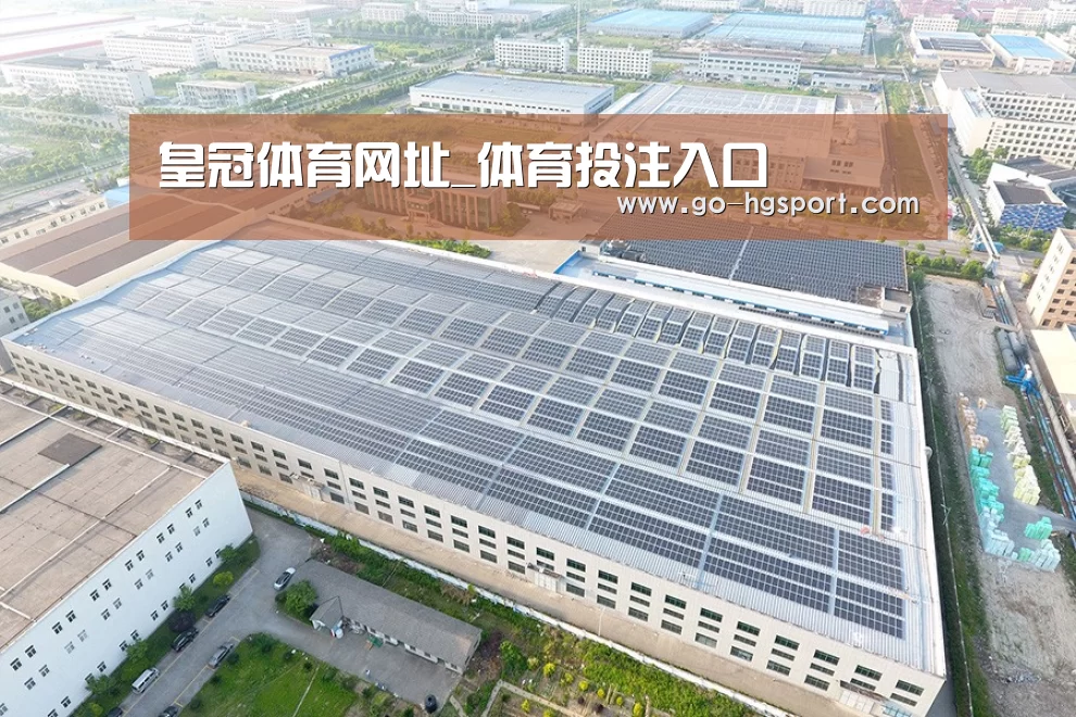 案例展示二