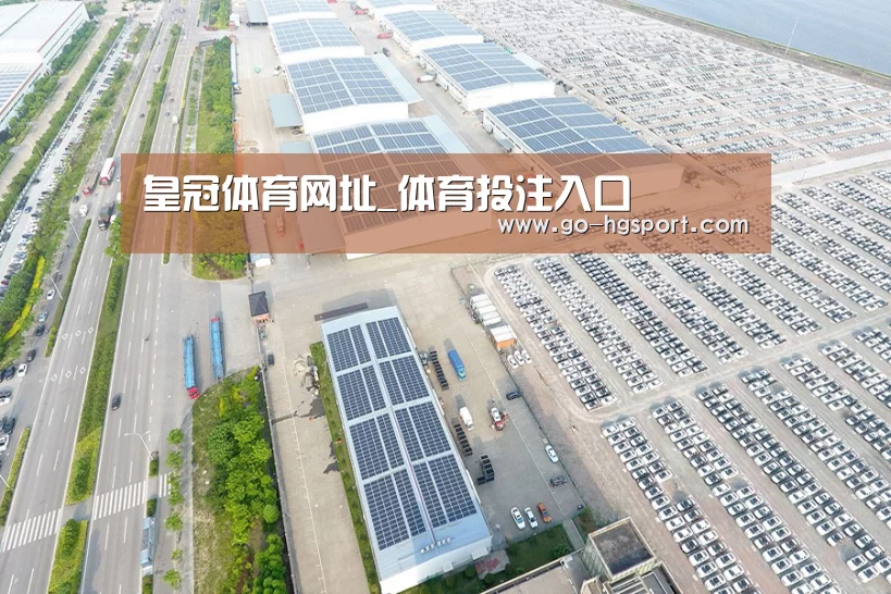案例展示一