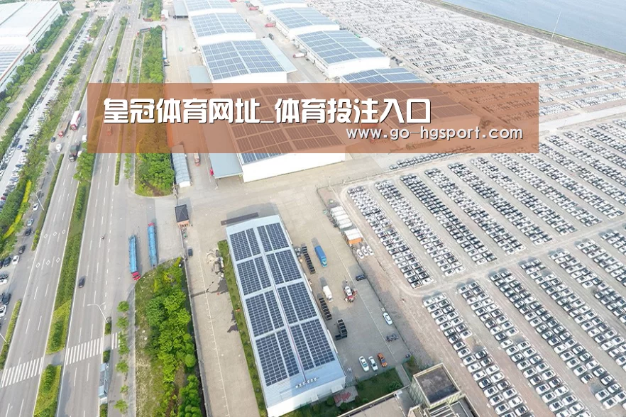 案例展示一