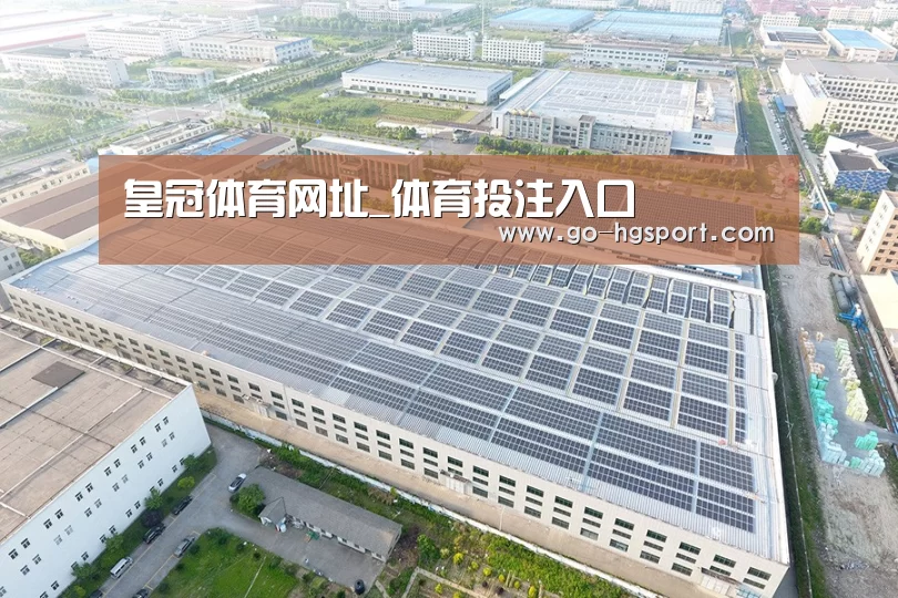 案例展示三