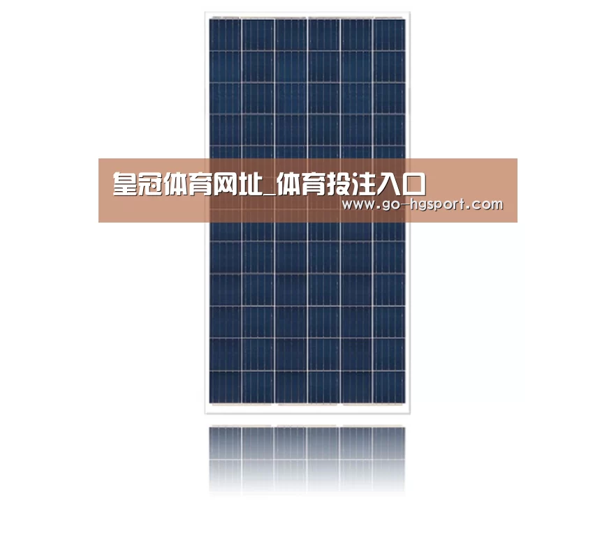 产品名称一