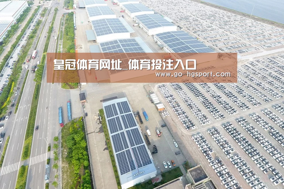 案例展示四