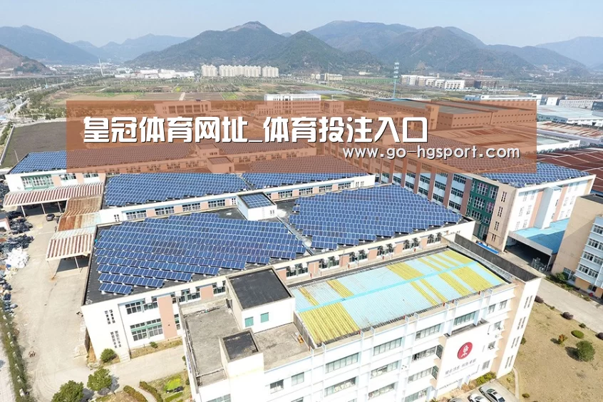 案例展示三