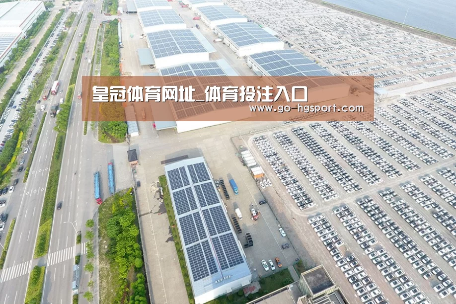 案例展示二