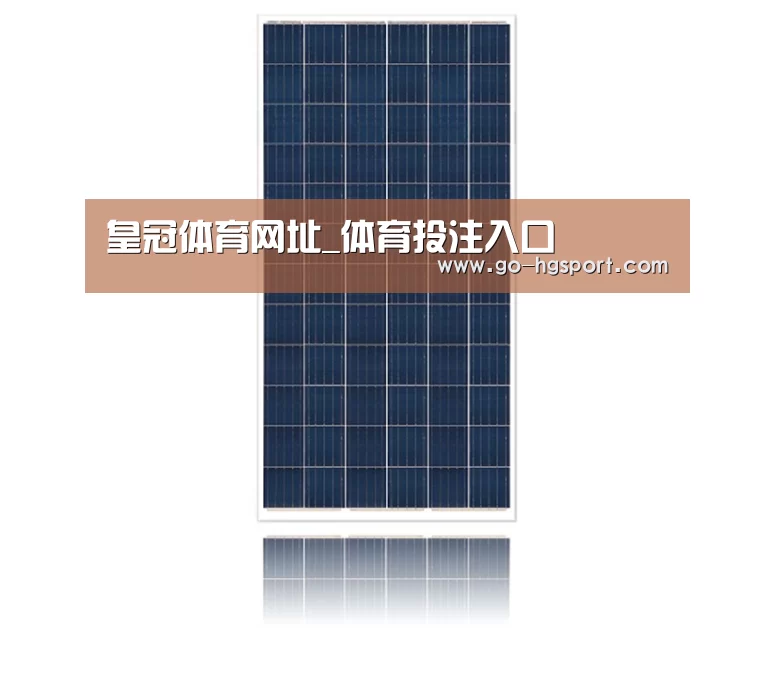 产品名称四