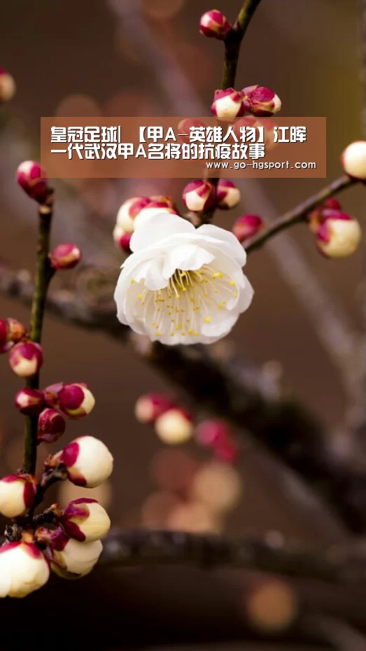 皇冠足球