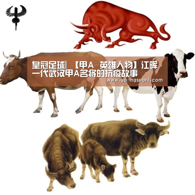 皇冠体育
