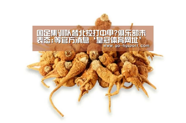国足集训队替北控打中甲?俱乐部未表态:等官方消息‘皇冠体育网址’(图1) 皇冠足球