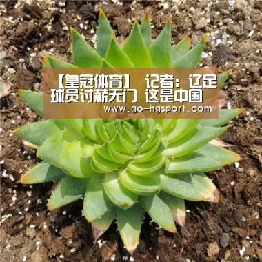 【皇冠体育】
记者:辽足球员讨薪无门 这是中国足球的羞耻 更是足协严重失职(图3) 皇冠体育