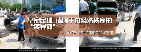 皇冠足球_清除干扰经济秩序的“变异体”
